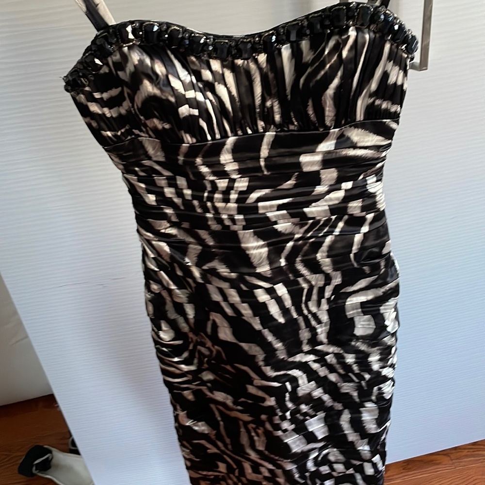 Beautiful corseted boning one of a kind Dina barel zebra printed dress